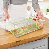 SOGA 150mm Clear Gastronorm GN Pan 1/1 Food Tray Storage Bundle of 6 with Lid - Cafe Supply