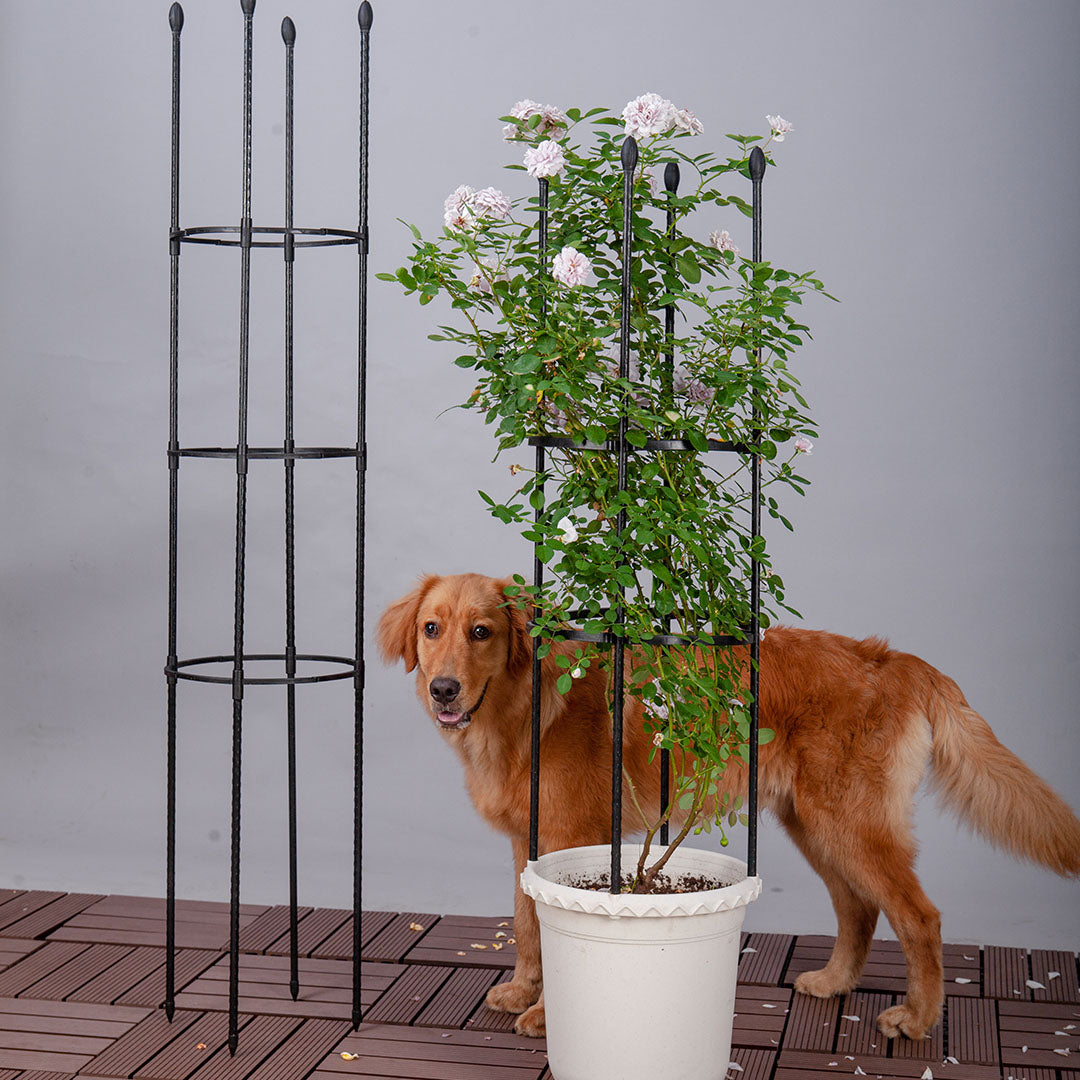 SOGA 103cm 4-Bar Plant Frame Stand Trellis Vegetable Flower Herbs Outdoor Vine Support Garden Rack with Rings - Cafe Supply