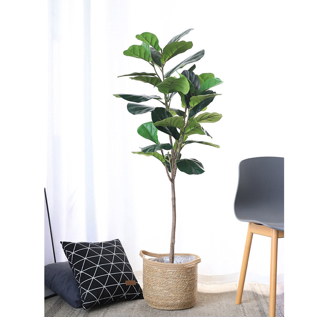 SOGA 2X 155cm Green Artificial Indoor Qin Yerong Tree Fake Plant Simulation Decorative - Cafe Supply