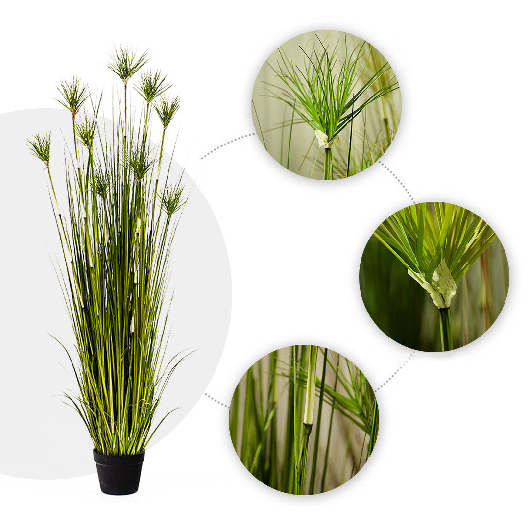 SOGA 2X 150cm Green Artificial Indoor Potted Papyrus Plant Tree Fake Simulation Decorative - Cafe Supply