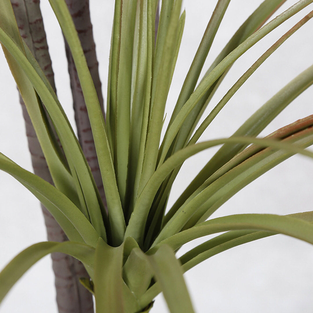 SOGA 2X 145cm Green Artificial Indoor Dragon Blood Tree Fake Plant Decorative - Cafe Supply