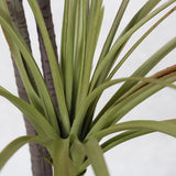 SOGA 2X 145cm Green Artificial Indoor Dragon Blood Tree Fake Plant Decorative - Cafe Supply
