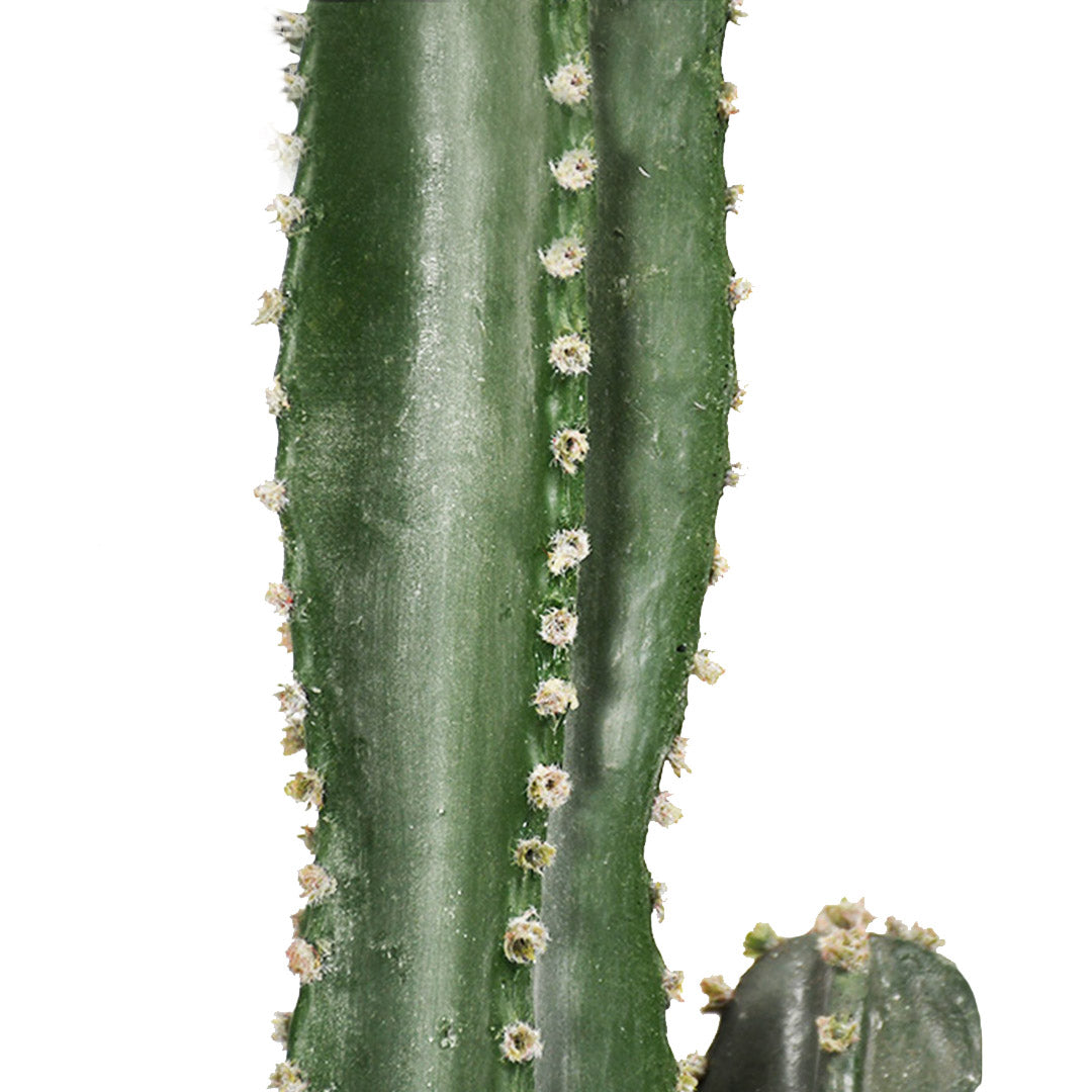 SOGA 2X 95cm Green Artificial Indoor Cactus Tree Fake Plant Simulation Decorative 2 Heads - Cafe Supply
