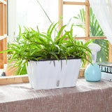 SOGA 2X 35cm Small White Rectangular Flowerpot Vegetable Herb Flower Outdoor Plastic Box Garden Decor - Cafe Supply