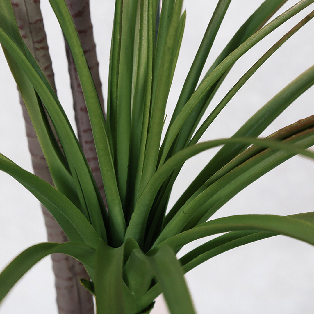 SOGA 2X 150cm Green Artificial Indoor Dragon Blood Tree Fake Plant Simulation Decorative - Cafe Supply