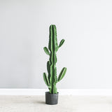 SOGA 105cm Green Artificial Indoor Cactus Tree Fake Plant Simulation Decorative 6 Heads - Cafe Supply