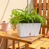 SOGA 2X 35cm Small White Rectangular Flowerpot Vegetable Herb Flower Outdoor Plastic Box Garden Decor - Cafe Supply