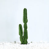 SOGA 2X 95cm Green Artificial Indoor Cactus Tree Fake Plant Simulation Decorative 2 Heads - Cafe Supply