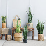 SOGA 2X 97cm Artificial Indoor Snake Sansevieria Plant Fake Decoration Tree Flower Pot - Cafe Supply