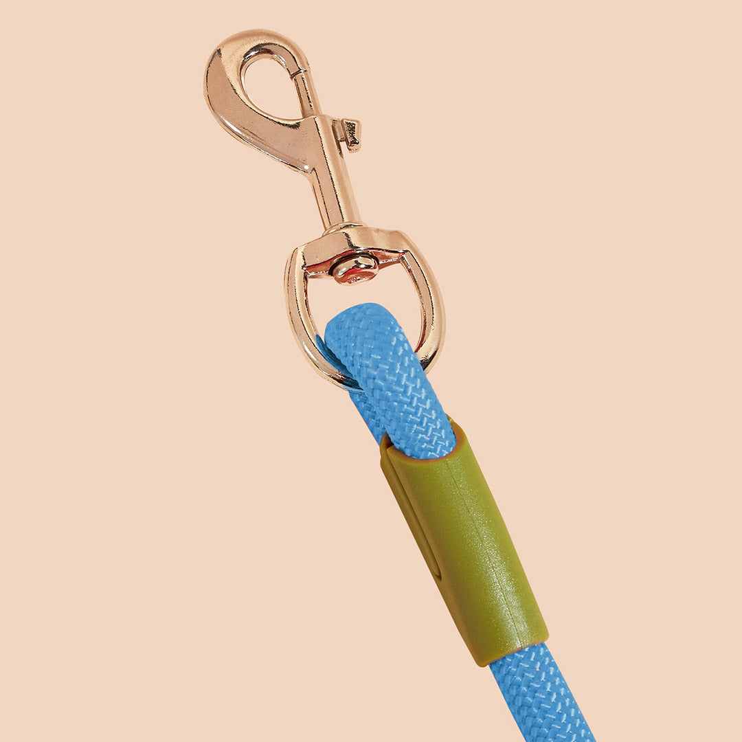 SOGA 2X 220cm Multifunction Hands-Free Rope Pet Cat Dog Puppy Double Ended Leash for Walking Training Tracking Obedience Blue - Cafe Supply