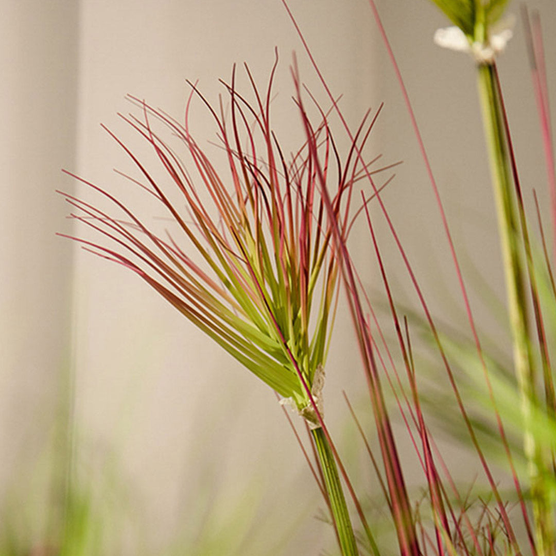 SOGA 2X 150cm Purple-Red Artificial Indoor Potted Papyrus Plant Tree Fake Simulation Decorative - Cafe Supply