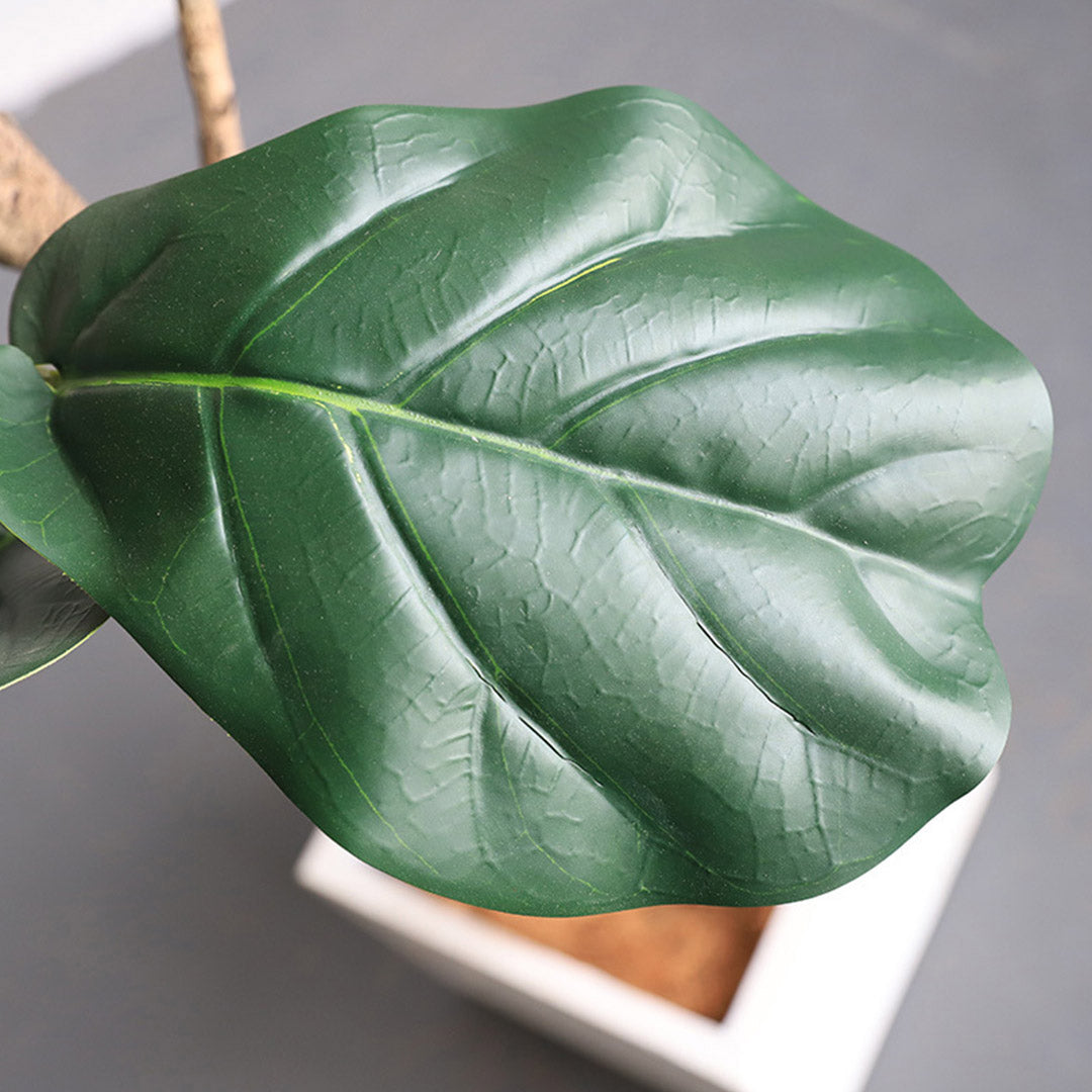 SOGA 2X 155cm Green Artificial Indoor Qin Yerong Tree Fake Plant Simulation Decorative - Cafe Supply