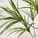 SOGA 2X 145cm Green Artificial Indoor Dragon Blood Tree Fake Plant Decorative - Cafe Supply