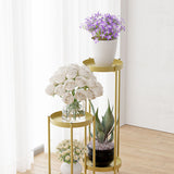 SOGA 2X 2 Layer 80cm Gold Metal Plant Stand Flower Pot Holder Corner Shelving Rack Indoor Display - Cafe Supply
