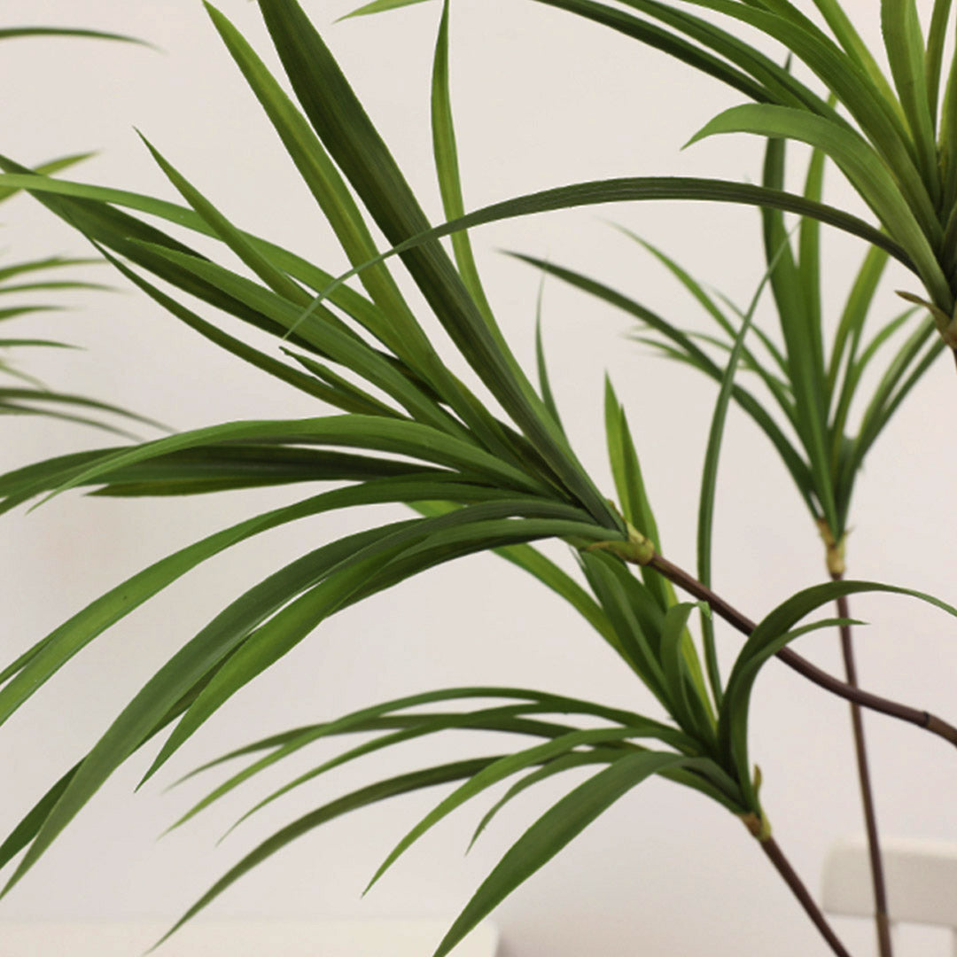 SOGA 2X 150cm Green Artificial Indoor Dragon Blood Tree Fake Plant Simulation Decorative - Cafe Supply