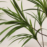 SOGA 2X 150cm Green Artificial Indoor Dragon Blood Tree Fake Plant Simulation Decorative - Cafe Supply