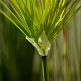 SOGA 4X 150cm Green Artificial Indoor Potted Papyrus Plant Tree Fake Simulation Decorative - Cafe Supply