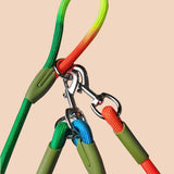 SOGA 2X 220cm Multifunction Hands-Free Rope Pet Cat Dog Puppy Double Ended Leash for Walking Training Tracking Obedience Rainbow - Cafe Supply