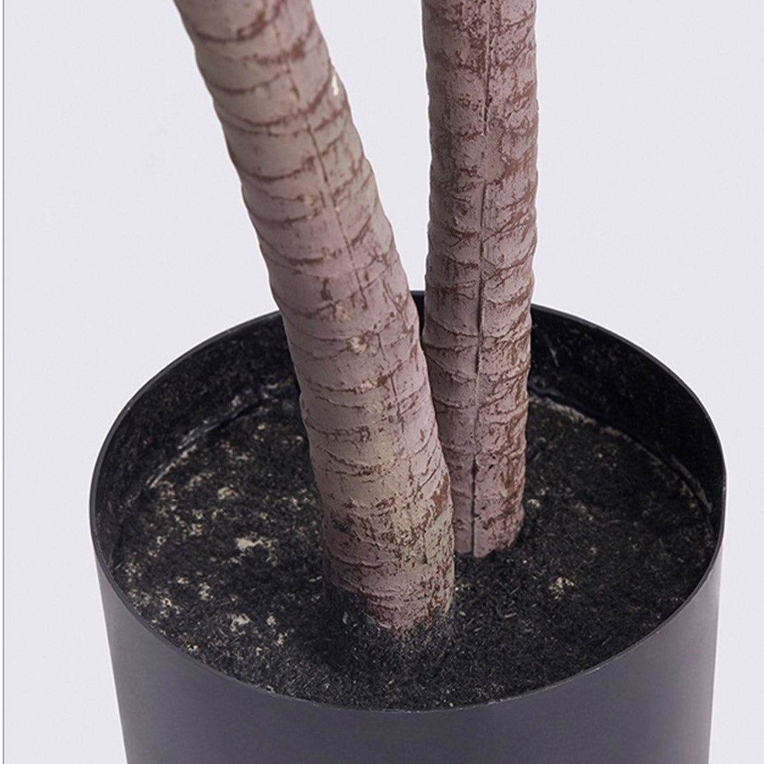 SOGA 2X 150cm Green Artificial Indoor Dragon Blood Tree Fake Plant Simulation Decorative - Cafe Supply