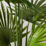 SOGA 2X 180cm Artificial Natural Green Fan Palm Tree Fake Tropical Indoor Plant Home Office Decor - Cafe Supply