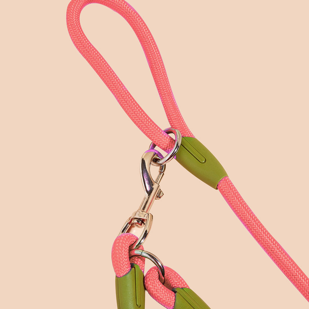 SOGA 2X 220cm Multifunction Hands-Free Rope Pet Cat Dog Puppy Double Ended Leash for Walking Training Tracking Obedience Pink - Cafe Supply