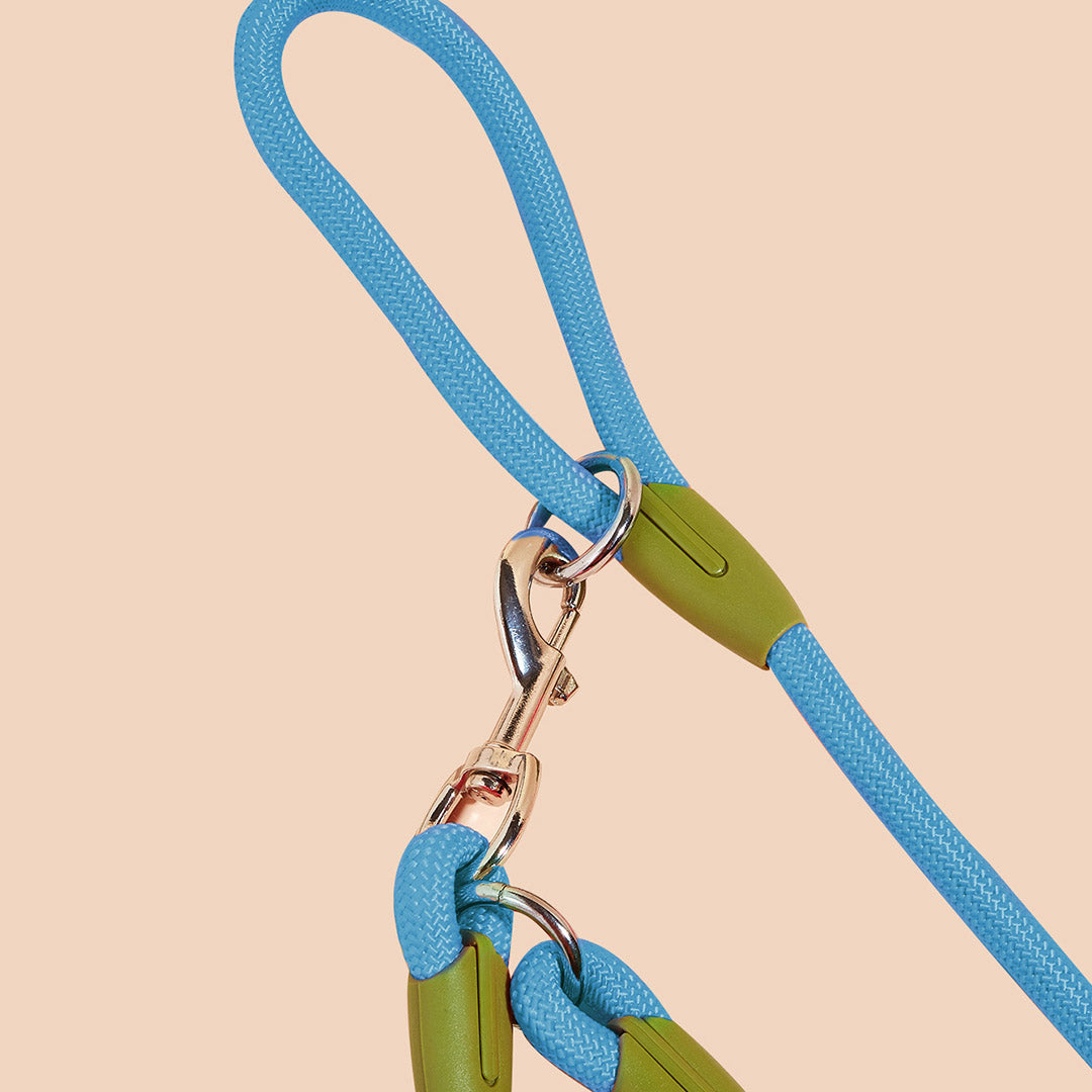 SOGA 2X 220cm Multifunction Hands-Free Rope Pet Cat Dog Puppy Double Ended Leash for Walking Training Tracking Obedience Blue - Cafe Supply
