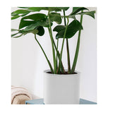 SOGA 2X 70cm Tripod Flower Pot Plant Stand with White Flowerpot Holder Rack Indoor Display - Cafe Supply
