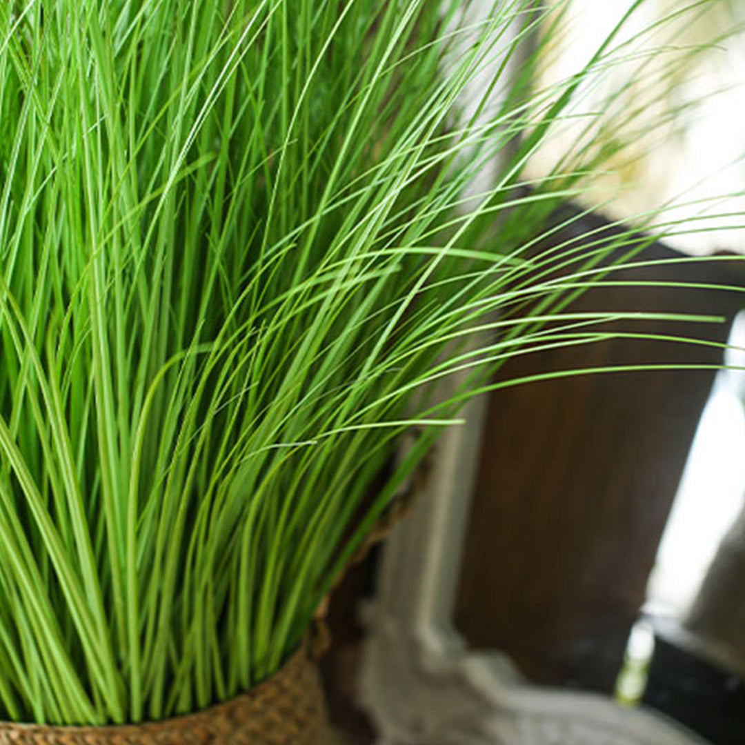 SOGA 2X 137cm Green Artificial Indoor Potted Bulrush Grass Tree Fake Plant Simulation Decorative - Cafe Supply