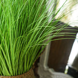 SOGA 2X 137cm Green Artificial Indoor Potted Bulrush Grass Tree Fake Plant Simulation Decorative - Cafe Supply