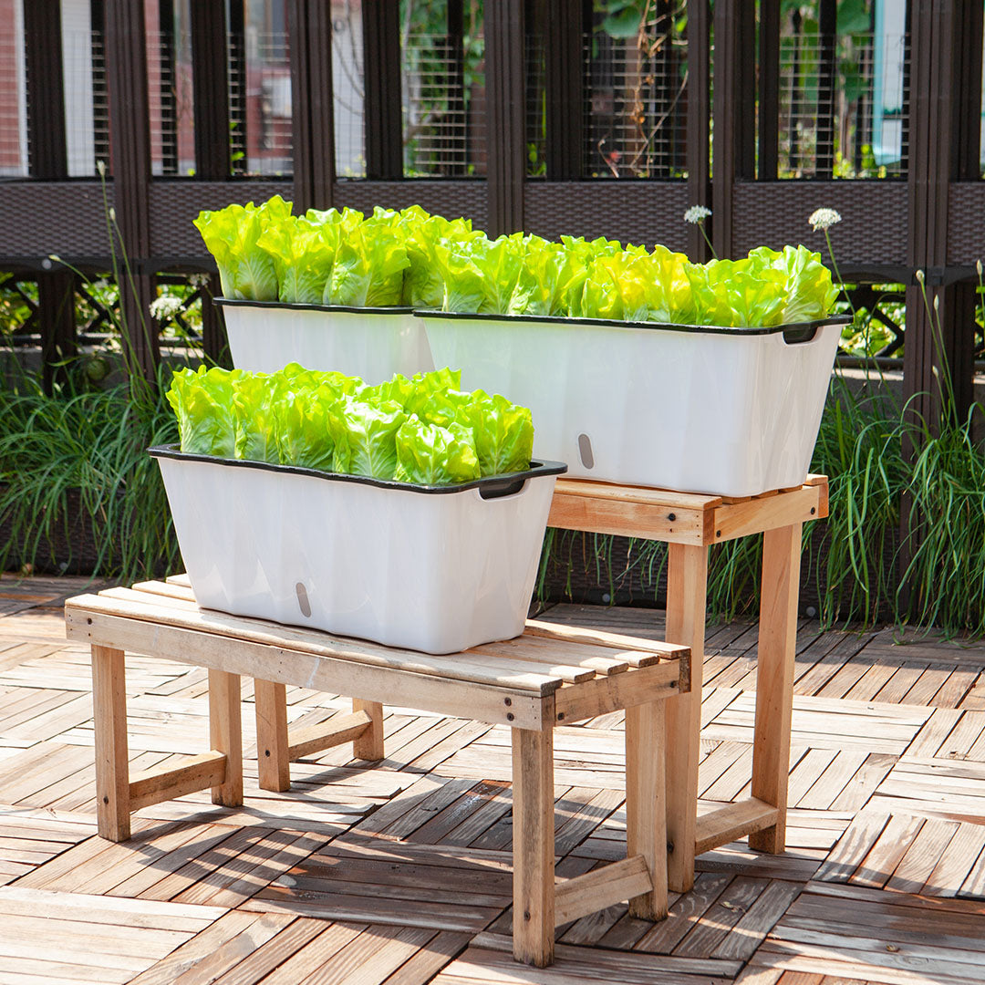 SOGA 2X 35cm Small White Rectangular Flowerpot Vegetable Herb Flower Outdoor Plastic Box Garden Decor - Cafe Supply