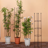 SOGA 2X 103cm 4-Bar Plant Frame Stand Trellis Vegetable Flower Herbs Outdoor Vine Support Garden Rack with Rings - Cafe Supply
