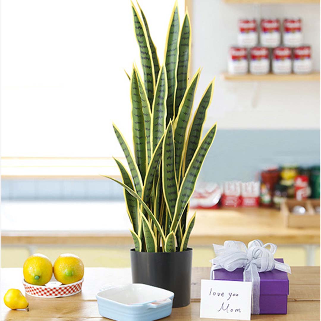 SOGA 2X 95cm Artificial Indoor Yellow Edge Tiger Piran Fake Decoration Tree Flower Pot Plant - Cafe Supply
