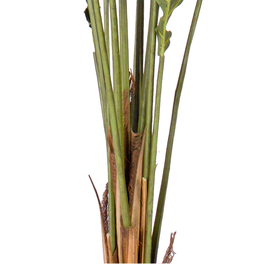 SOGA 2X 240cm Artificial Green Rogue Hares Foot Fern Tree Fake Tropical Indoor Plant Home Office Decor - Cafe Supply