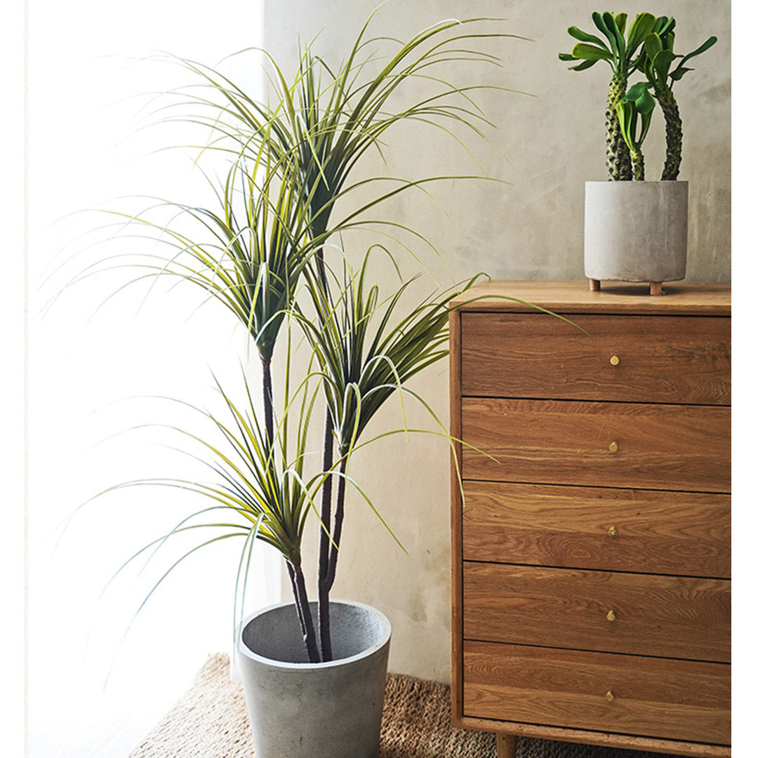 SOGA 2X 145cm Green Artificial Indoor Dragon Blood Tree Fake Plant Decorative - Cafe Supply