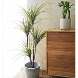 SOGA 2X 145cm Green Artificial Indoor Dragon Blood Tree Fake Plant Decorative - Cafe Supply