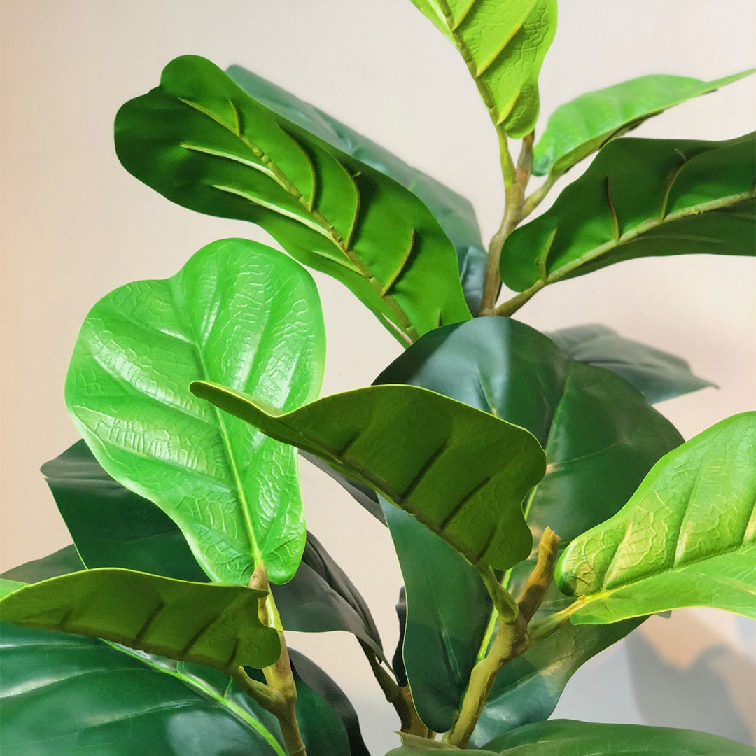SOGA 2X 155cm Green Artificial Indoor Qin Yerong Tree Fake Plant Simulation Decorative - Cafe Supply