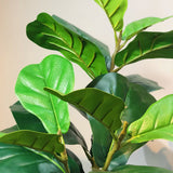 SOGA 2X 155cm Green Artificial Indoor Qin Yerong Tree Fake Plant Simulation Decorative - Cafe Supply