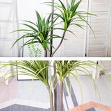 SOGA 2X 180cm Green Artificial Indoor Brazlian Iron Tree Fake Plant Decorative 3 Heads - Cafe Supply