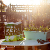 SOGA 49.5cm Green Rectangular Planter Vegetable Herb Flower Outdoor Plastic Box with Holder Balcony Garden Decor Set of 2 - Cafe Supply