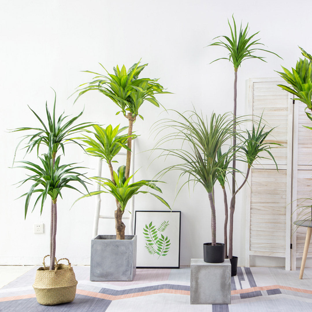 SOGA 2X 180cm Green Artificial Indoor Brazlian Iron Tree Fake Plant Decorative 4 Heads - Cafe Supply