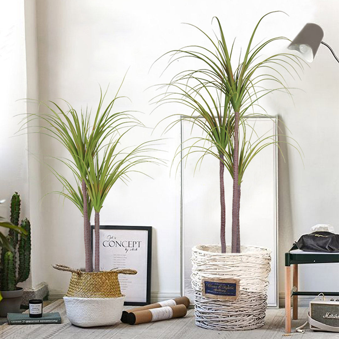 SOGA 2X 145cm Green Artificial Indoor Dragon Blood Tree Fake Plant Decorative - Cafe Supply