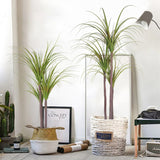 SOGA 2X 145cm Green Artificial Indoor Dragon Blood Tree Fake Plant Decorative - Cafe Supply