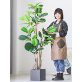 SOGA 2X 155cm Green Artificial Indoor Qin Yerong Tree Fake Plant Simulation Decorative - Cafe Supply