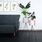 SOGA 2X 70cm Tripod Flower Pot Plant Stand with White Flowerpot Holder Rack Indoor Display - Cafe Supply