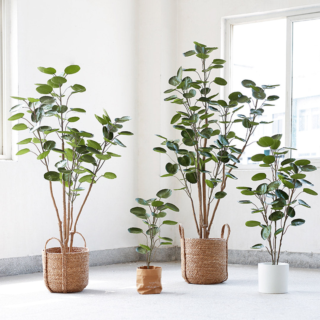 SOGA 2X 180cm Green Artificial Indoor Pocket Money Tree Fake Plant Simulation Decorative - Cafe Supply