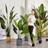 SOGA 2X 180cm Green Artificial Indoor Nordic Wind Traveller Banana Plant Fake Decorative Tree - Cafe Supply