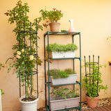 SOGA 133cm 4-Bar Plant Frame Stand Trellis Vegetable Flower Herbs Outdoor Vine Support Garden Rack with Rings - Cafe Supply