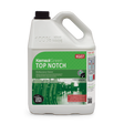 Kemsol Top Notch Green Cleaner 5L - Cafe Supply
