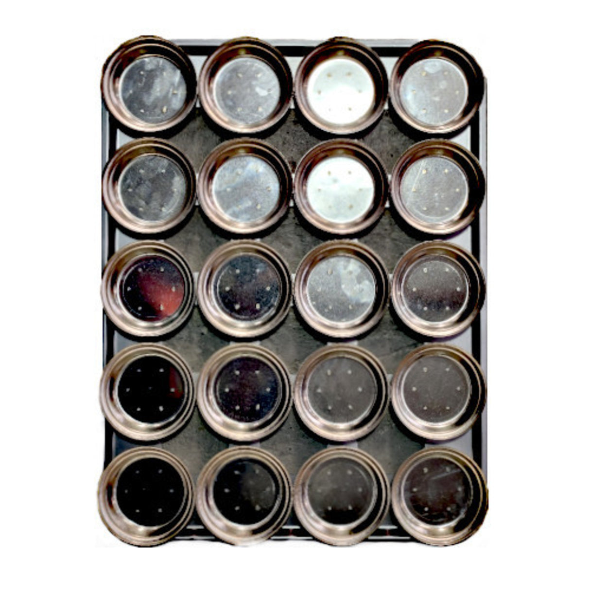 Palletized Pie Tins, (20) Round 113x31.5mm, Tray size 600x460mm - Cafe Supply
