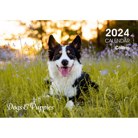 Collins Rosebank Wall Calendar A4 Dogs & Puppies Even Year - Cafe Supply